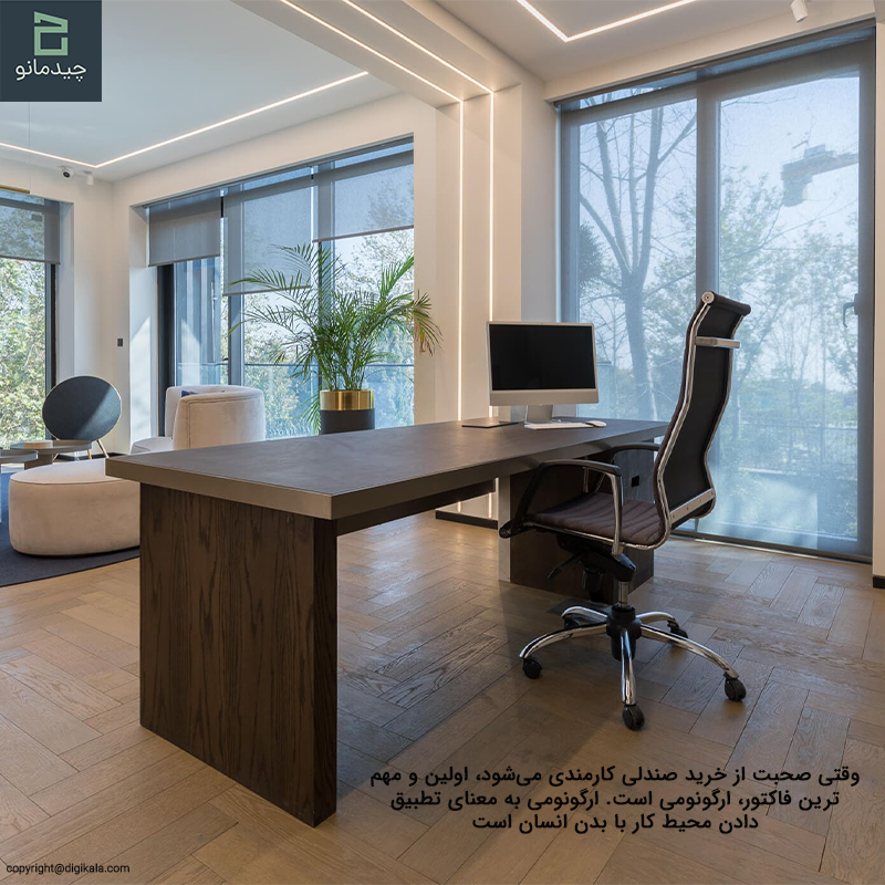 ارگونومی ستون فقرات راحتی در صندلی کارمندی