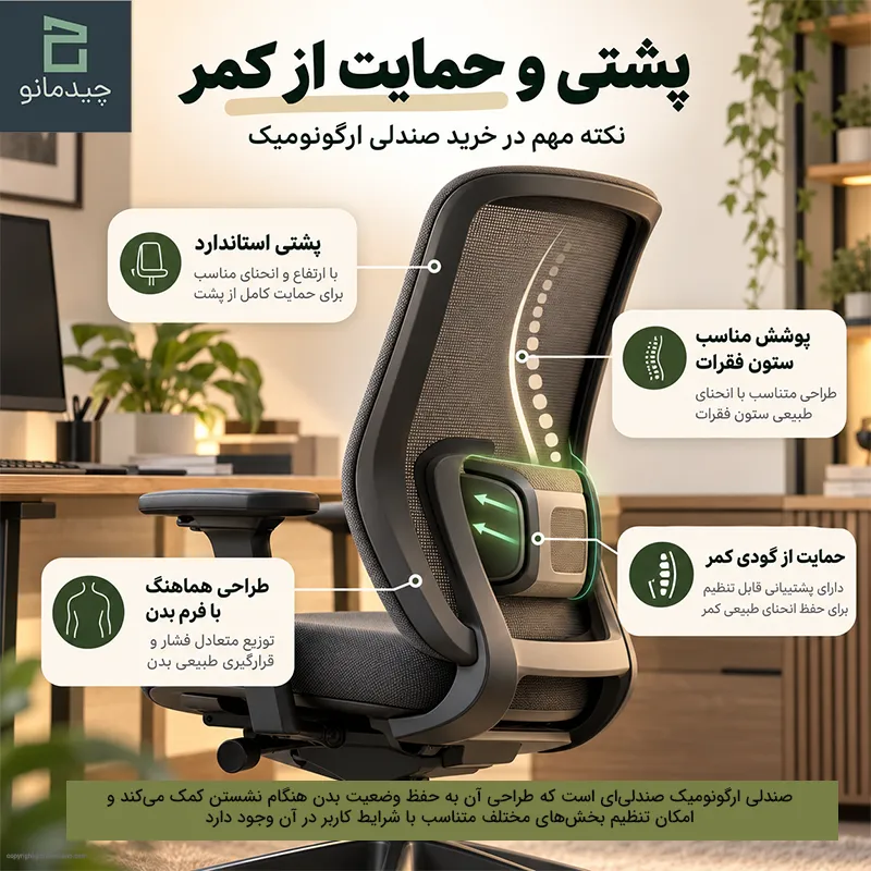 هنگام خرید صندلی ارگونومیک پشتی و حمایت از کمر را بررسی کنید